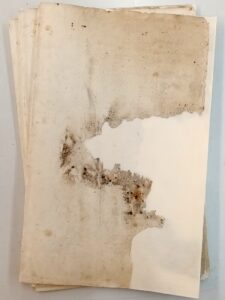 Größere Fehlstelle nach dem Anfasern. Papierbrei ergänzt die Fehlstelle.