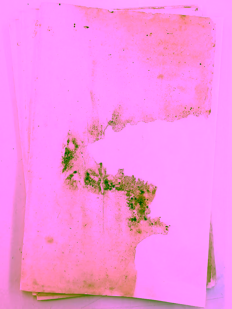 Größere Fehlstelle nach dem Anfasern. Papierbrei ergänzt die Fehlstelle.