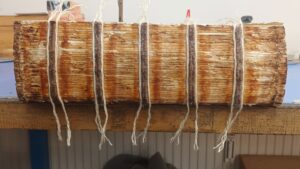 Gereinigter Rücken mit ergänzten Bünden.